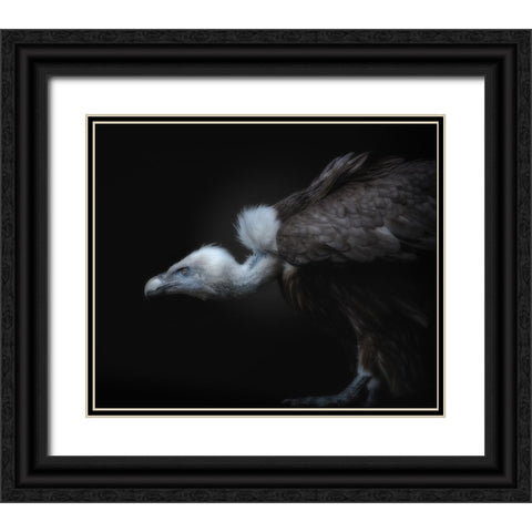 Targeted Black Ornate Wood Framed Art Print with Double Matting by Kamera