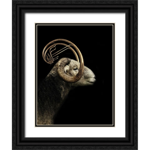 Big Horn Sheep Black Ornate Wood Framed Art Print with Double Matting by Hummel, Jeffrey