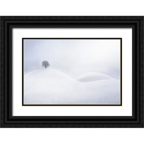 Untitled Black Ornate Wood Framed Art Print with Double Matting by Tanev, Todor