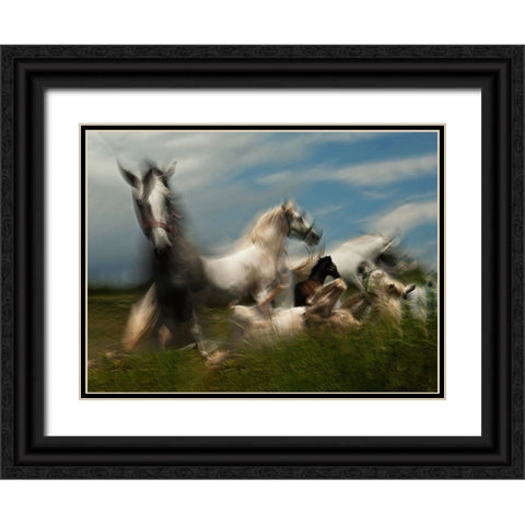 Play ground Black Ornate Wood Framed Art Print with Double Matting by Malovrh, Milan