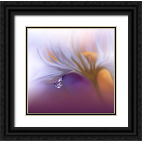 Lost In Time.. Black Ornate Wood Framed Art Print with Double Matting by Nan, Juliana
