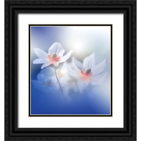 Dancers In My Mind.. Black Ornate Wood Framed Art Print with Double Matting by Nan, Juliana