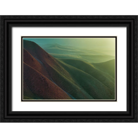 Natural Grassland Black Ornate Wood Framed Art Print with Double Matting by Simoon