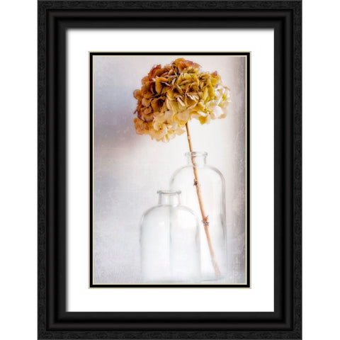 Hydrangea Black Ornate Wood Framed Art Print with Double Matting by Montfort, Blaise