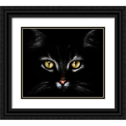 Untitled Black Ornate Wood Framed Art Print with Double Matting by Grambone, Antonio