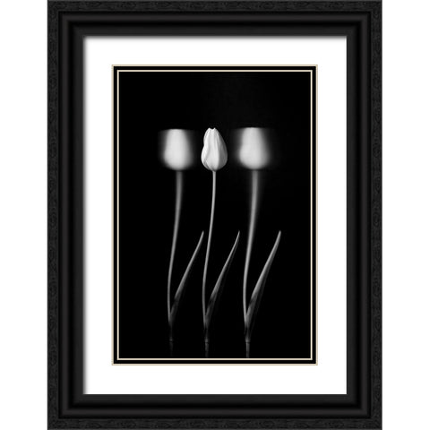 Tulips Black Ornate Wood Framed Art Print with Double Matting by Xu, Tony