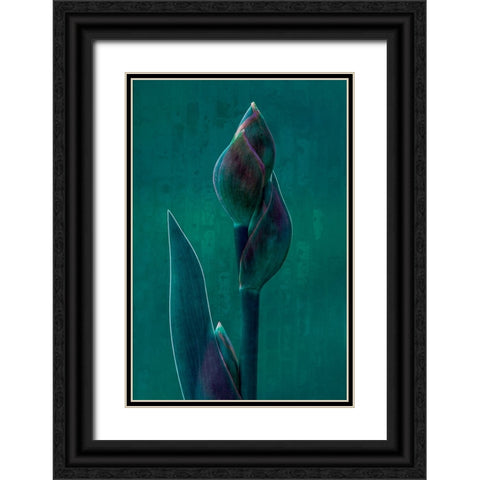 Blue Charade. Black Ornate Wood Framed Art Print with Double Matting by Hamilton, Chris