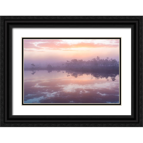 Pink Morning Black Ornate Wood Framed Art Print with Double Matting by Zilbalodis, Eriks