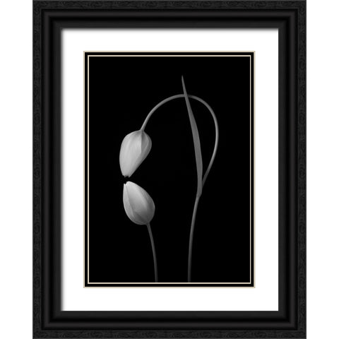Flowers Love Black Ornate Wood Framed Art Print with Double Matting by Xu, Tony