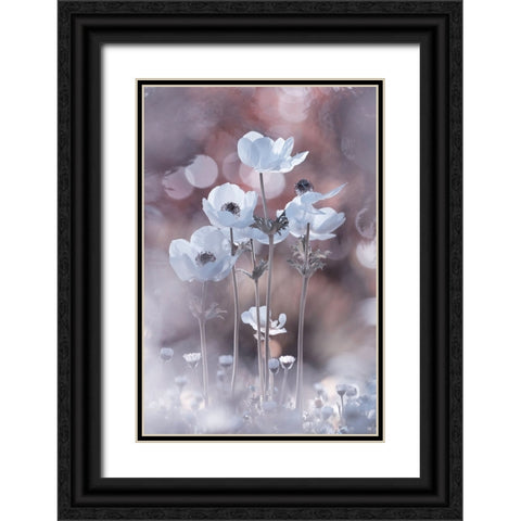 All The Flowers Of All The Tomorrows Are In The Seeds Of Today Black Ornate Wood Framed Art Print with Double Matting by BRAVIN, Fabien