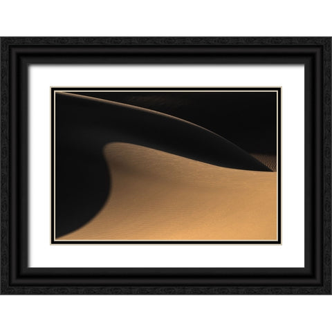 The Desert Ii Black Ornate Wood Framed Art Print with Double Matting by Jamshidian, Hamid