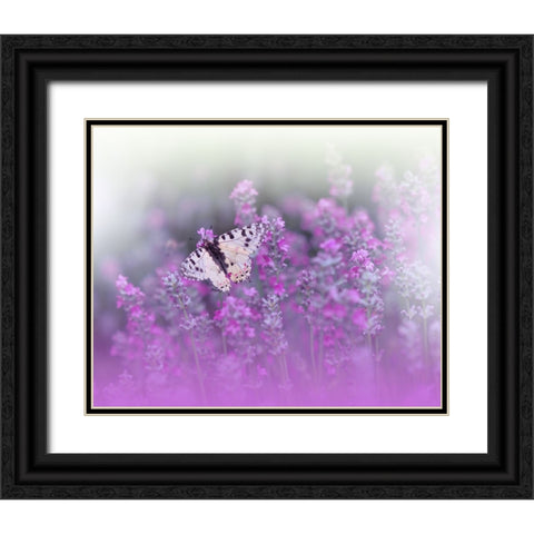 Queen Of Flowers..II Black Ornate Wood Framed Art Print with Double Matting by Nan, Juliana