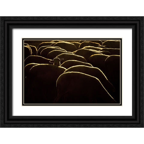 Confused Black Ornate Wood Framed Art Print with Double Matting by Bagci, Emir