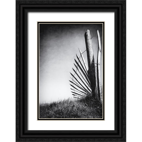 No (Of)Fence In The Dunes Black Ornate Wood Framed Art Print with Double Matting by Flour, Bruno