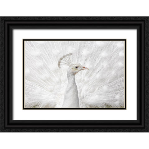 Inmaculate Black Ornate Wood Framed Art Print with Double Matting by Fegari