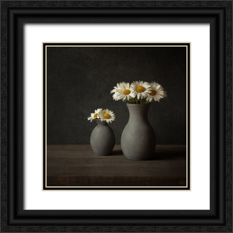 Daisies Black Ornate Wood Framed Art Print with Double Matting by Veenstra, Ytje