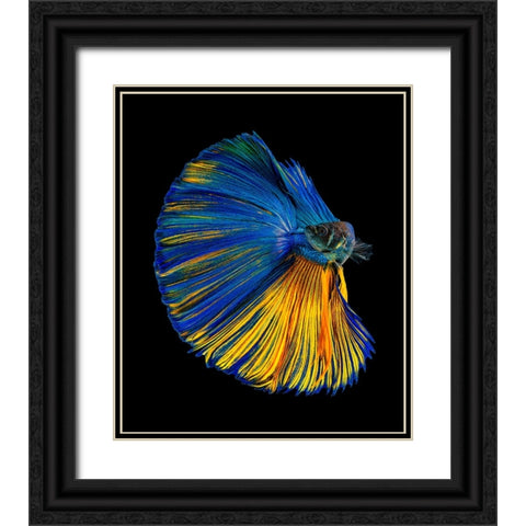 Yellow A Blue Black Ornate Wood Framed Art Print with Double Matting by Halil, Andi