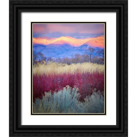 Field Layers Black Ornate Wood Framed Art Print with Double Matting by Kirbyturnage