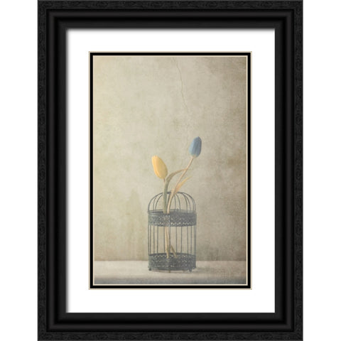 But Together... Black Ornate Wood Framed Art Print with Double Matting by Devos, Delphine
