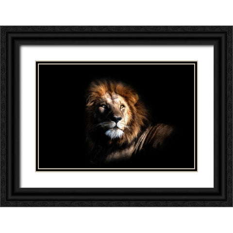 The Simber Black Ornate Wood Framed Art Print with Double Matting by Fischer, Jie