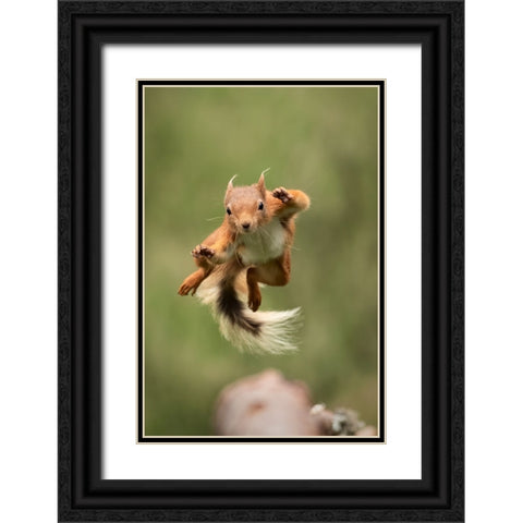 Ninja Dancing Black Ornate Wood Framed Art Print with Double Matting by Ashton-Jones, Howard