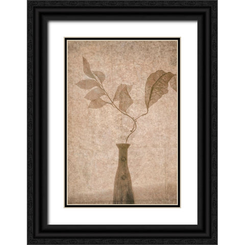 Still Life Black Ornate Wood Framed Art Print with Double Matting by Tokarev, Igor
