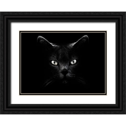 Untitled Black Ornate Wood Framed Art Print with Double Matting by Grambone, Antonio