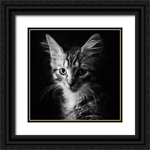 Laban Black Ornate Wood Framed Art Print with Double Matting by Holmqvist, Marcus