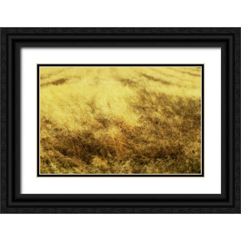 Golden Waves Black Ornate Wood Framed Art Print with Double Matting by Kravanja, Jure
