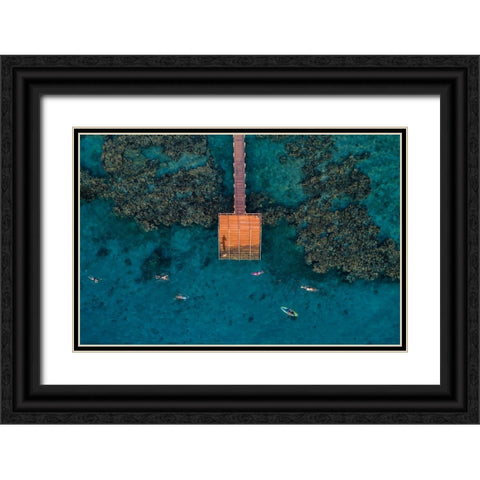Coral Escape Black Ornate Wood Framed Art Print with Double Matting by Meirovich, Ido
