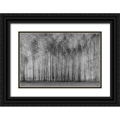 Impenetrable Forest Black Ornate Wood Framed Art Print with Double Matting by Schleicher-Schwarz, Roswitha