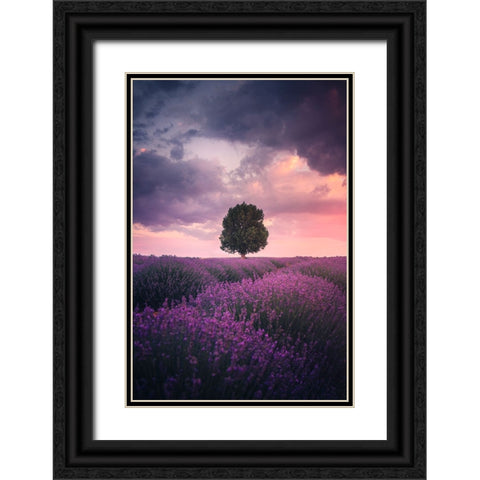 Lavender Fields, Isparta Black Ornate Wood Framed Art Print with Double Matting by Cevik, Cuma