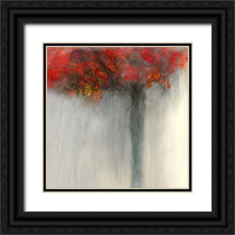 Fiery Autumn Black Ornate Wood Framed Art Print with Double Matting by Claes, Gilbert