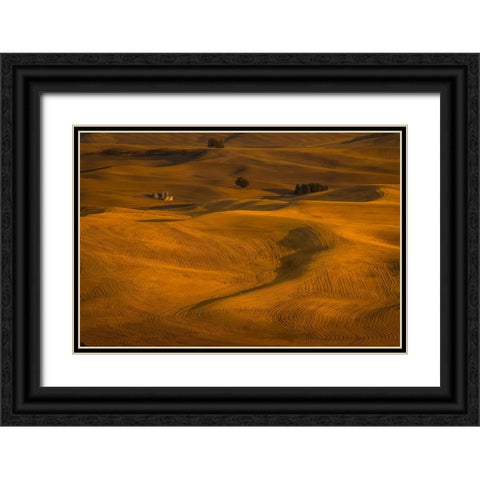 Wheat Field In Sunset Black Ornate Wood Framed Art Print with Double Matting by Wang, David