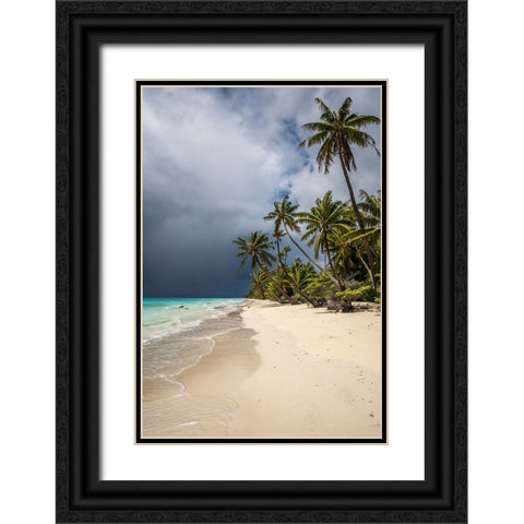 See The Storm Coming Black Ornate Wood Framed Art Print with Double Matting by Wrobel, Karsten