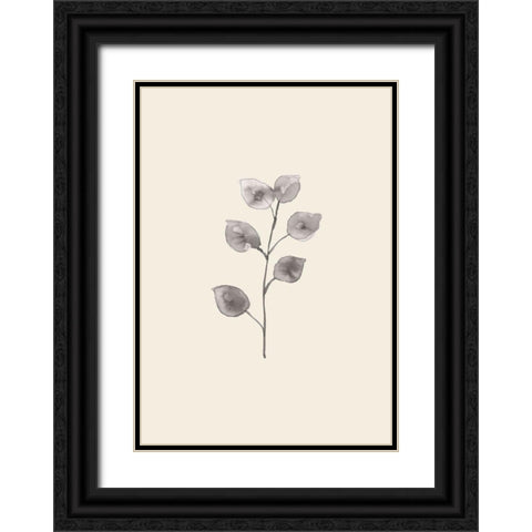Eucalyptus Twig Black Ornate Wood Framed Art Print with Double Matting by 1x Studio
