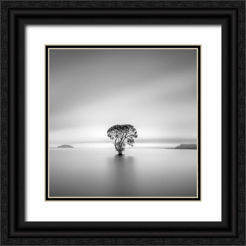 Untitled Black Ornate Wood Framed Art Print with Double Matting by Luo, Jana