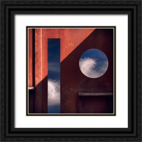 Bird Watching Station Black Ornate Wood Framed Art Print with Double Matting by Apers, Marc