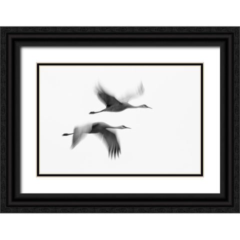 Dream Couple Black Ornate Wood Framed Art Print with Double Matting by Fan, John