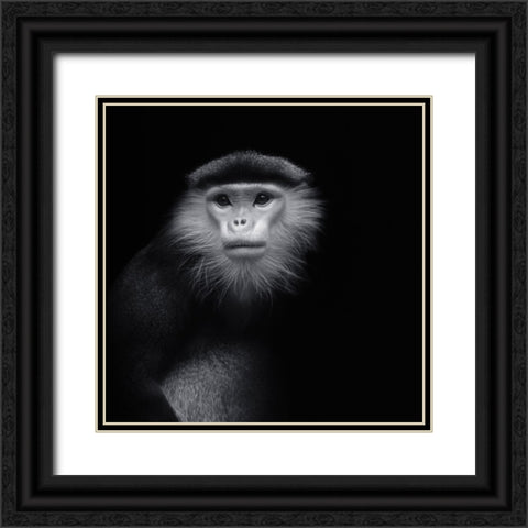 Ape 2 Black Ornate Wood Framed Art Print with Double Matting by Vollrath, Jorg