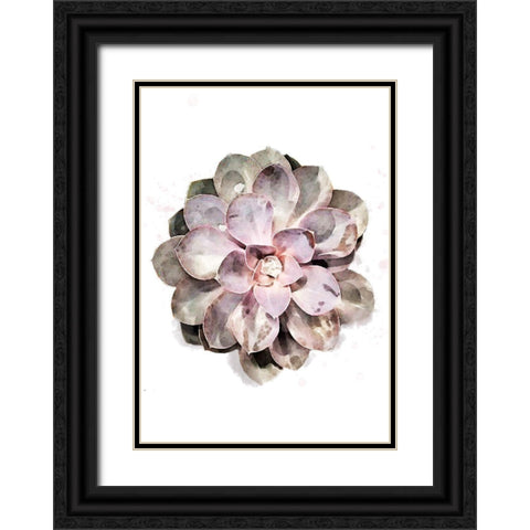 Succulent 01 Black Ornate Wood Framed Art Print with Double Matting by 1x Studio II