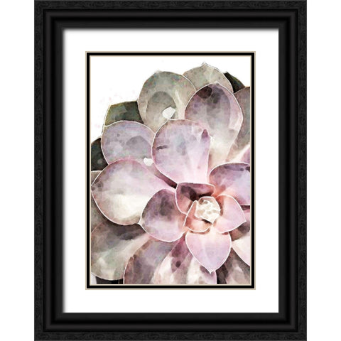 Succulent Close-up Black Ornate Wood Framed Art Print with Double Matting by 1x Studio II