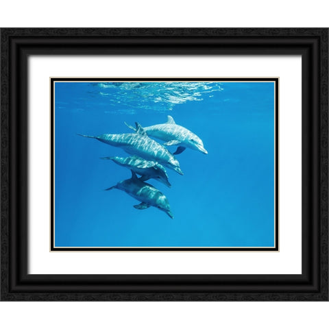 Familly Black Ornate Wood Framed Art Print with Double Matting by Melesan, Serge