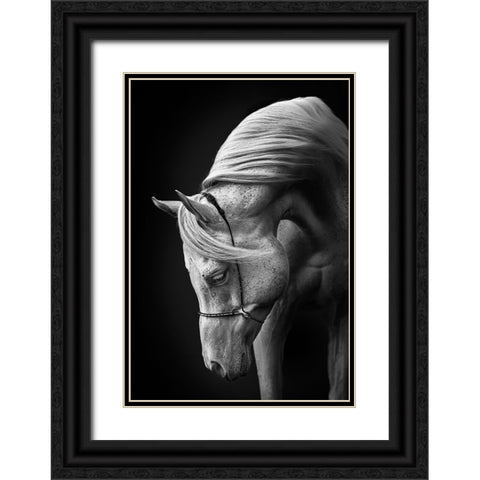 White Stallion Black Ornate Wood Framed Art Print with Double Matting by Leinemann, Ulrike