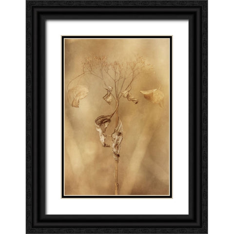 Withered Hydrangea_011 Black Ornate Wood Framed Art Print with Double Matting by Suzuki, Takashi
