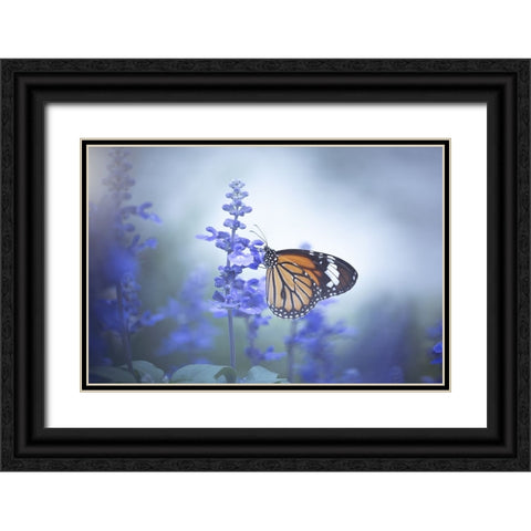 Butterfly Black Ornate Wood Framed Art Print with Double Matting by Li, Wang