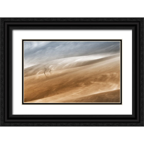 Two Trees Black Ornate Wood Framed Art Print with Double Matting by Hermann, Uschi