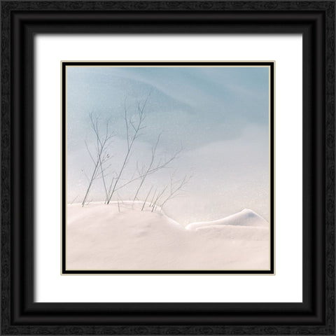 Fragile Black Ornate Wood Framed Art Print with Double Matting by van Bijnen, Jacqueline