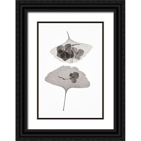 Botanical 35 Black Ornate Wood Framed Art Print with Double Matting by Lenka