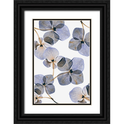 Botanical #37 Black Ornate Wood Framed Art Print with Double Matting by Lenka